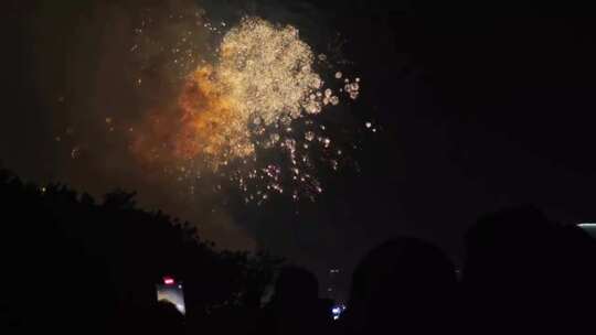 夜空下绽放的绚烂烟花景象