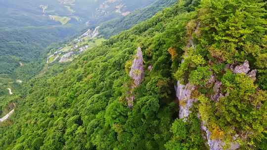 重庆五里坡国家级自然保护区葱坪全景