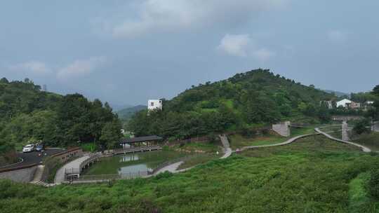 平阳茶山视频素材模板下载