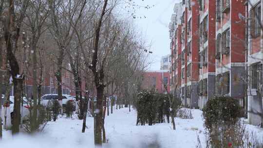 城市居民小区下雪雪景视频素材模板下载