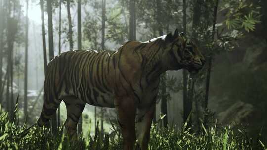 4K-竹林中的老虎