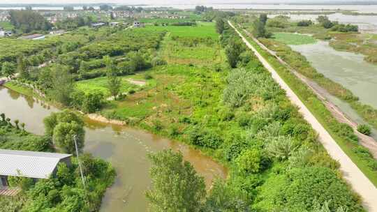 航拍湖泊堤防沿岸田野千里之堤滩涂湿地