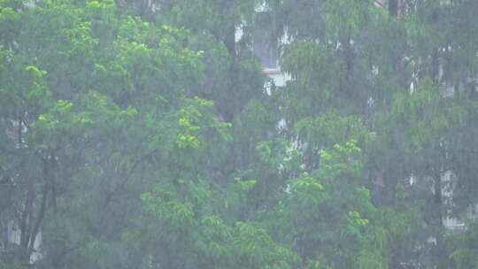 夏天雷雨大雨特写空镜