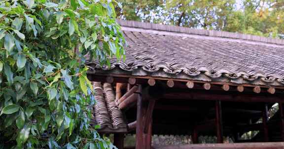 杭州西溪湿地古典建筑屋檐