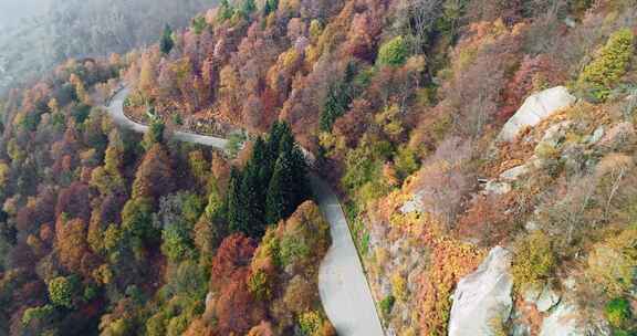 穿过山林的道路航拍