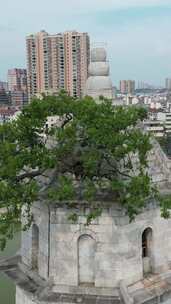 竖版航拍湖北黄冈安国寺景区