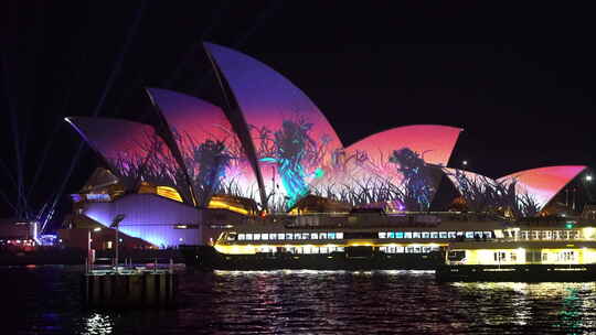 悉尼歌剧院夜景 悉尼城市夜景视频素材模板下载