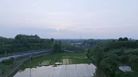 高清航拍乡村农田稻田农村山水风光自然风景