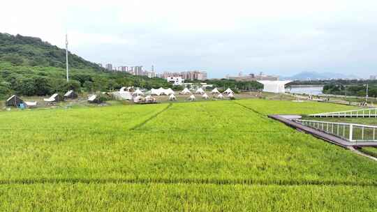 中国广东省广州市从化艾米稻香小镇