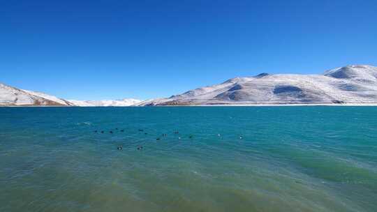 航拍西藏冬季羊卓雍措羊湖纳木错湖水与雪山