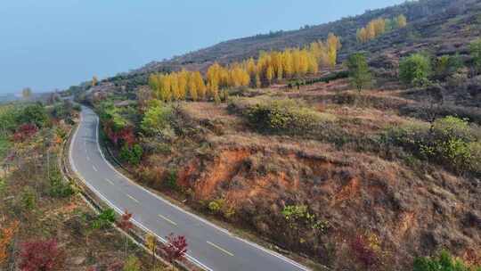 金色秋天旅游公路风景航拍