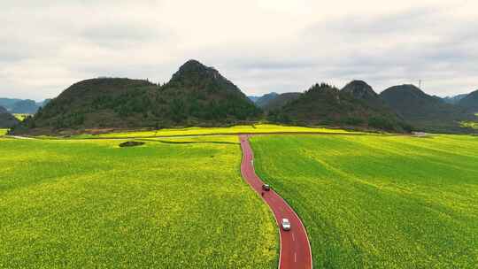 云南罗平油菜花海金鸡峰林