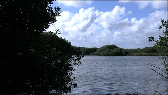 佛罗里达湖泊景观视频素材模板下载