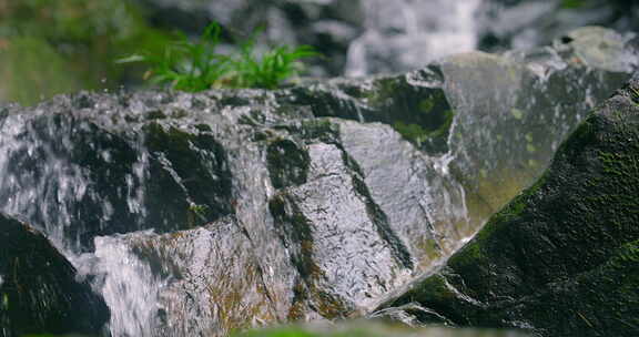 大自然  春天 瀑布 山泉 苔藓