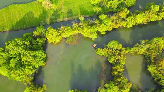 最新杭州西溪湿地航拍4K