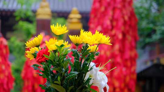 寺庙里雨中盛开的花束
