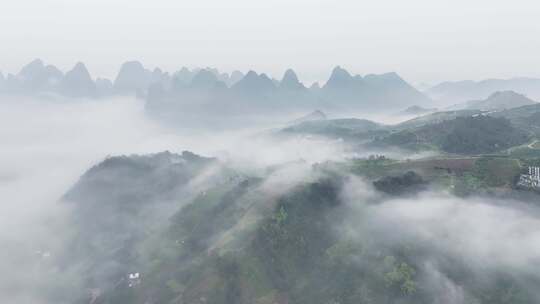 早晨薄雾下的漓江自然景区