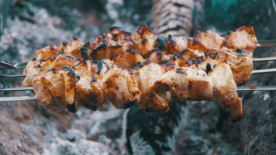 鸡肉烤肉串是在大自然的火上烹饪的视频素材模板下载