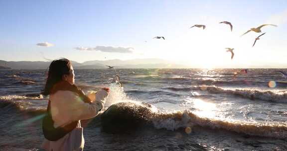 （慢镜头）大理洱海日出美女喂海鸥唯美镜头