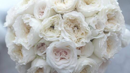 一束白色美丽的鲜花