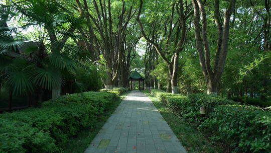 武汉东湖风景区湖北书画院