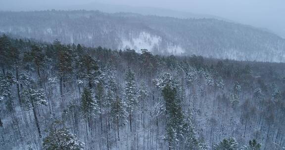 航拍大兴安岭春季雪中的山林