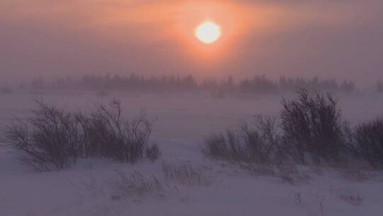 强烈暴风雪期间北极冰冻苔原上的日落