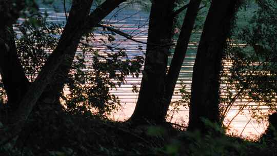 夕阳柔情：树林剪影与湖水波光之恋