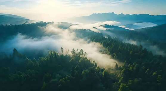 4K森林群山云雾阳光景观云海山峰