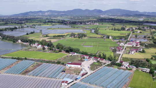 农村航拍新农村无人机俯视蓝天白云稻田野