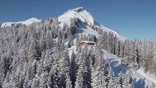 高山小屋，山脉，树木，雪