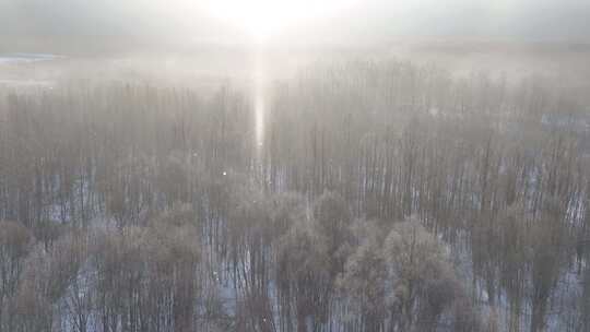 航拍飘落雪晶的阳光雪林