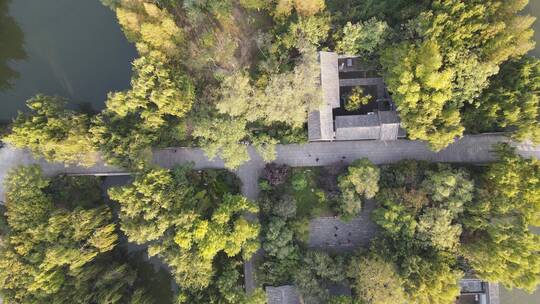 航拍山东济南大明湖景区绿荫