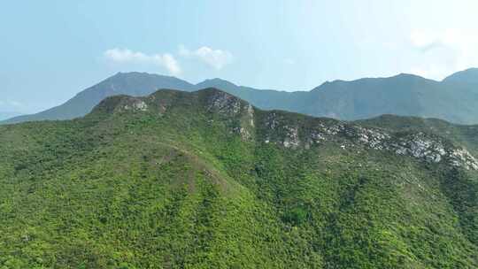 大山森林航拍