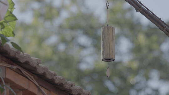 人文意境空镜头