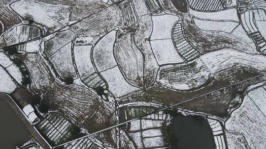 航拍农田农业种植冬天雪景视频素材模板下载