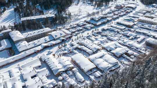 4K东北冬天雪乡寒冷星空林海雪原气象下雪