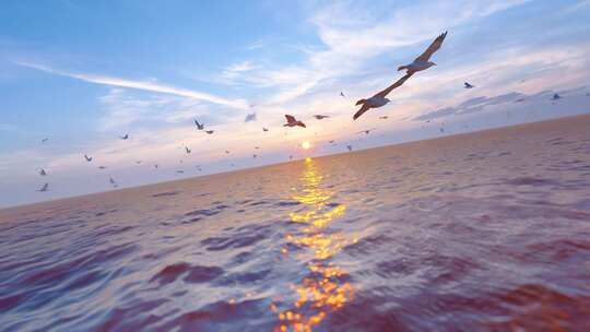 和谐大自然与海面自由飞翔的海鸥