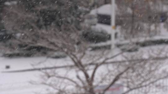 飘雪的冬季街头景观