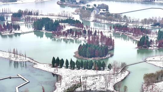 航拍湿地公园雪景树林湖岛