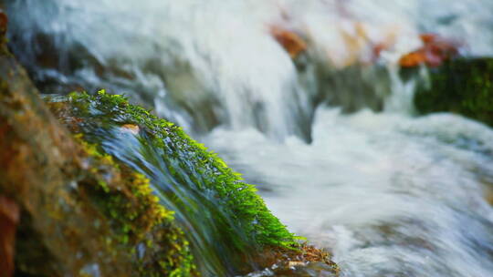 溪水流过长满苔藓的石头