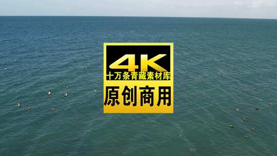 青海海南青海湖水浪航拍视频高清在线视频素材下载