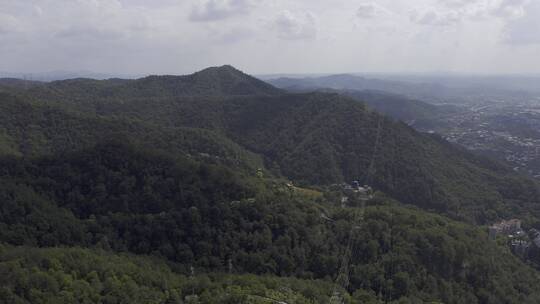 山区山林