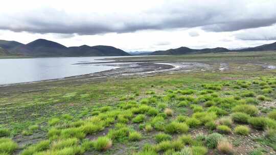 普莫雍措湖岸湿地风光