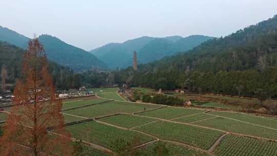 浙江台州国清寺隋塔天台山寺庙古塔宝塔航拍