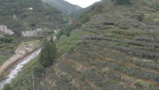 瀑布水流山泉水大自然自然风景自然风光视频素材模板下载