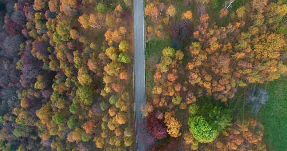 穿过山林的道路航拍