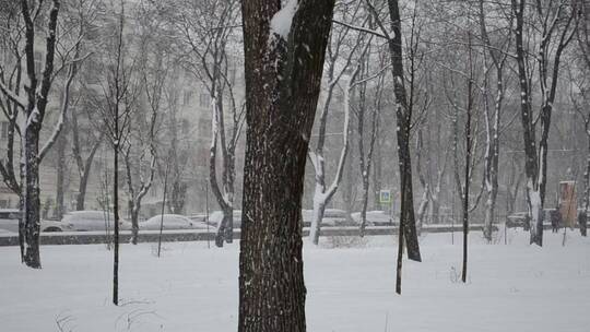 被大雪覆盖的城市公园