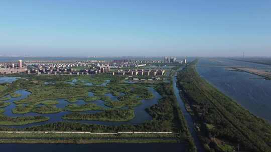 天津市静海区团泊镇生态乡村风光