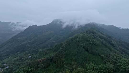 洪雅雅女湖 森林 烟雾缭绕 自然云雾山脉视频素材模板下载